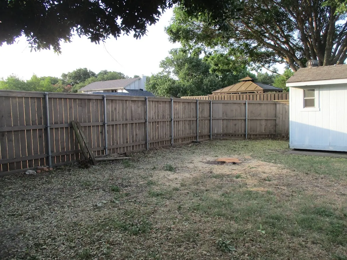 Cleared yard after professional tree removal in Red House