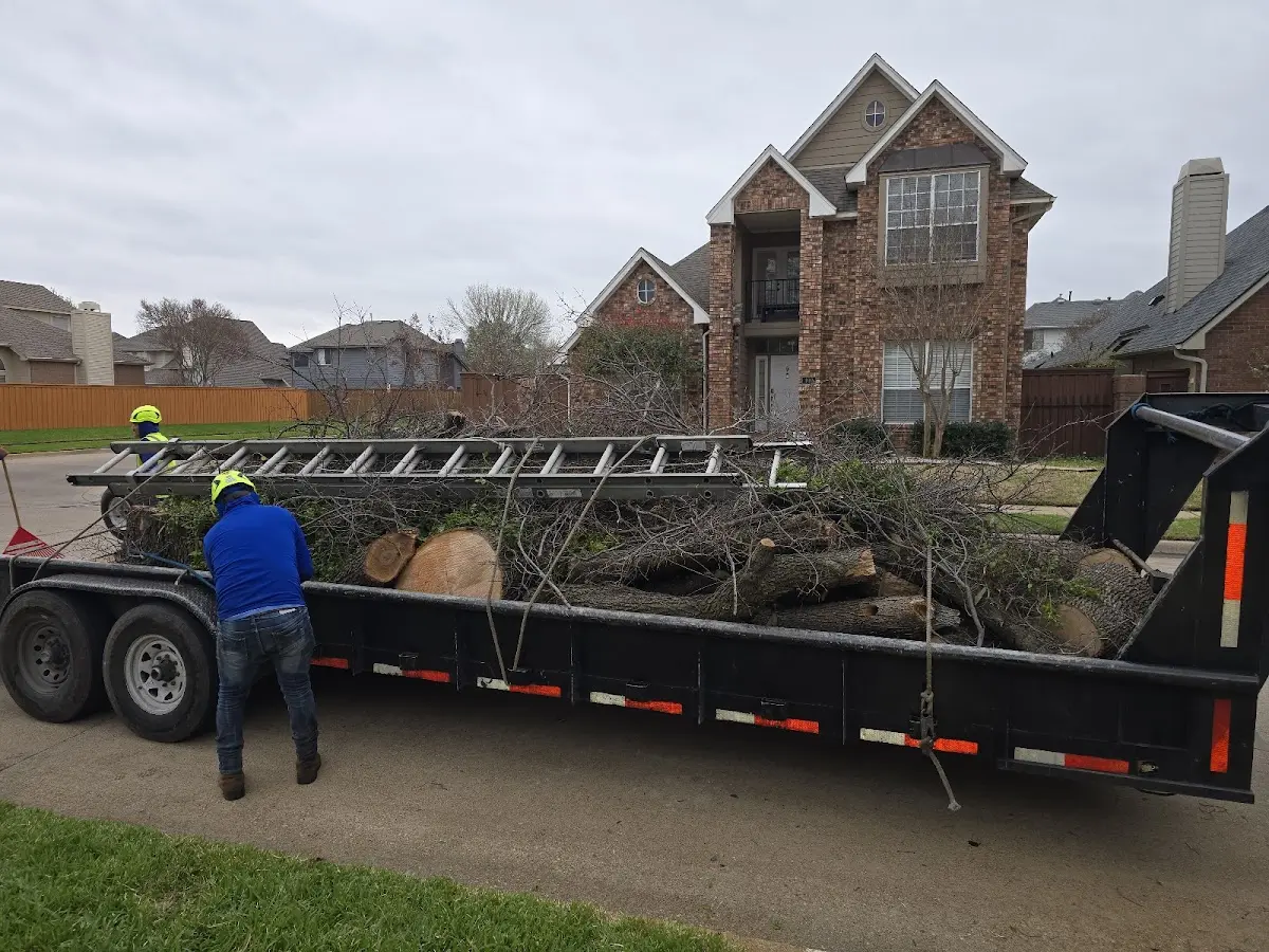 Expert Tree Fertilization with proper safety equipment in Red House